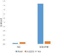 E(z) | Histone-lysine N-methyltransferase E(z) in the group Antibodies for Human/Animal / Epigenetics/DNA Methylation at Agrisera AB (Antibodies for research) (AS16 3935)